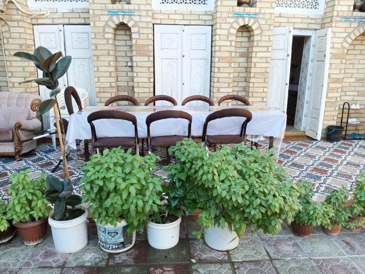 Hotel Sohibqiron Boutique Buchara Zewnętrze zdjęcie